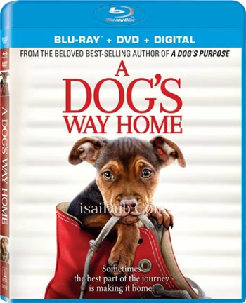 A Dog Way Home (2019) (English) - Tamil Movie Poster
