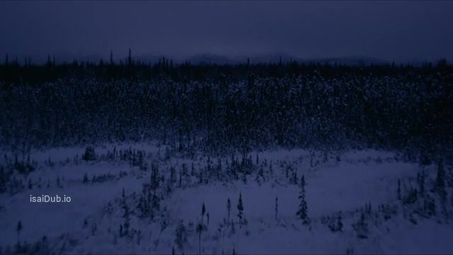 Subservience 2024 Original 360p HD.mp4