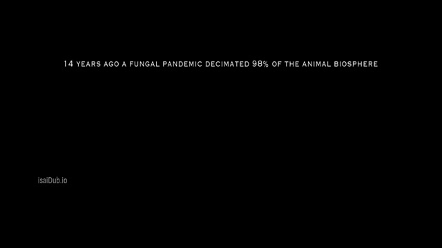 40 Acres 2024 Original 720p HD.mp4