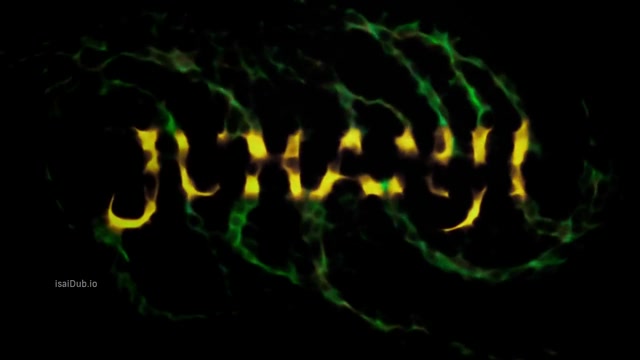 Jumanji 1995 Original 720p HD.mp4