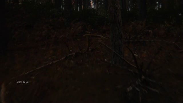 Firebreak 2026 Original 720p HD.mp4