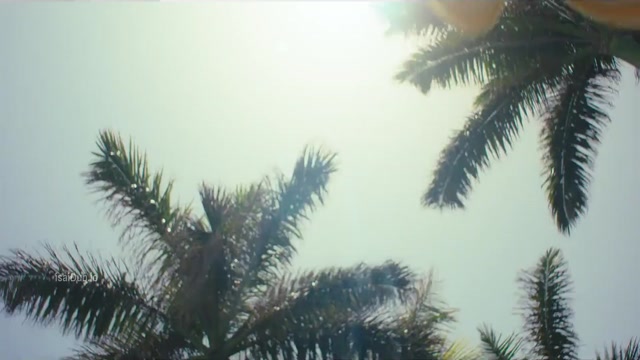 isaiDub.me - Oasis 2026 Season 01 (Epi 01).mp4