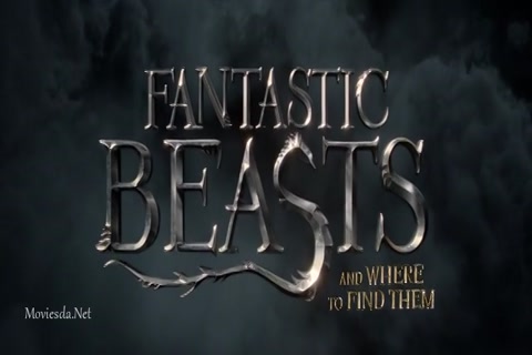 Fantastic Beasts and Where to Find Them (2016) Single Part (640x360).mp4
