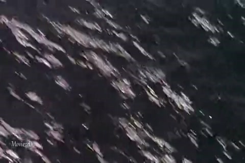 Godzilla Vs Destoroyah (1995) HD (640x360).mp4