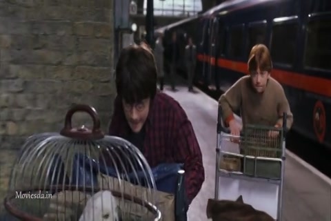 Harry Potter and The Chamber Of Secrets (2002) Sample (640x360).mp4