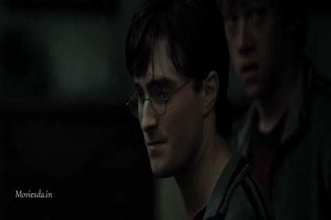 Harry Potter and The Deathly Hallows Part 1 (2010) Sample (640x360).mp4