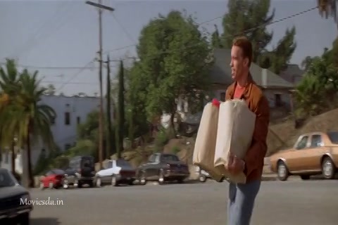 Last Action Hero (1993) Sample (480x320).mp4