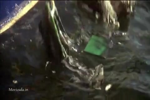 Jaws 2 (1978) Sample (480x320).mp4
