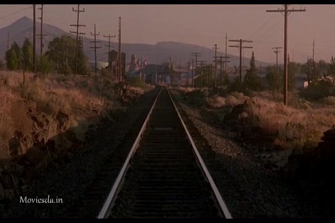 Homeward Bound The Incredible Journey (1993) HD (480x320).mp4