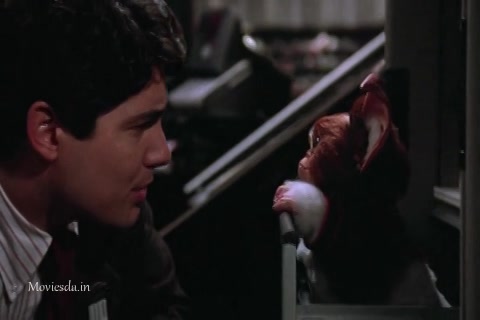Gremlins 2 The New Batch (1990) Sample (480x320).mp4