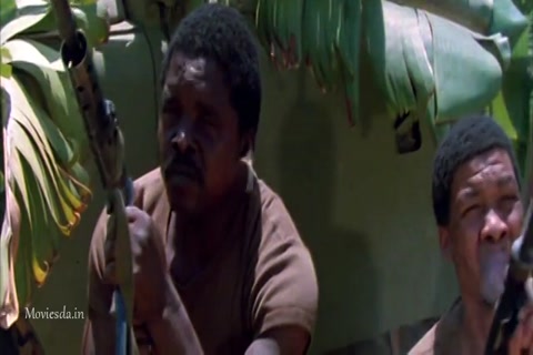 The Gods Must Be Crazy (1980) Sample (640x360).mp4