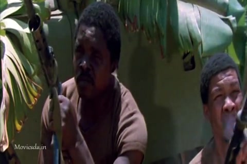 The Gods Must Be Crazy (1980) Sample (480x320).mp4
