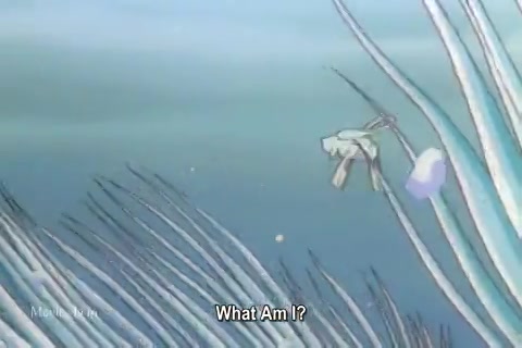 Mewtwo Strikes Back (1998) (480x320).mp4