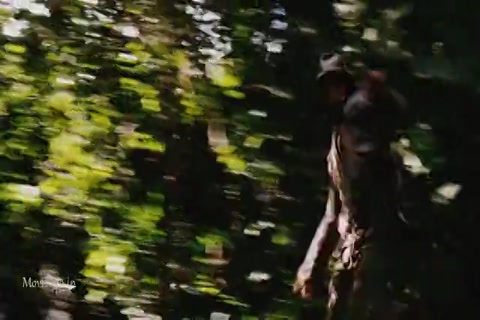 Indiana Jones Raiders of the Lost Ark Sample (640x360).mp4