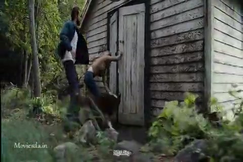 The Amityville Horror Sample.mp4
