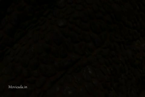 Dinosaur (480x320).mp4