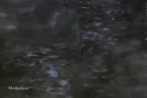 Black Water Sample.mp4