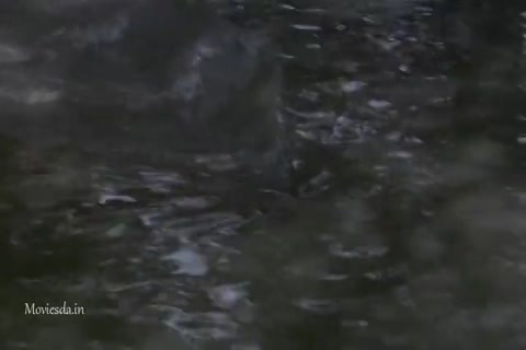 Black Water HD Sample.mp4