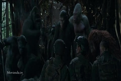 War for the Planet of the Apes Sample (480x320).mp4
