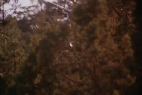 Fit To Kill HD Sample.mp4