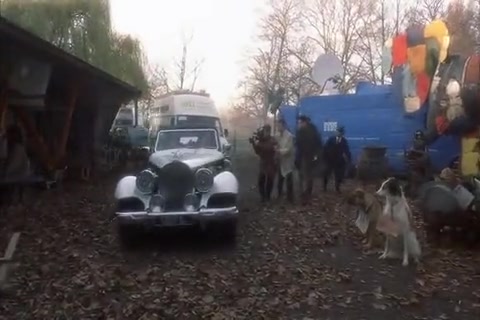 Dalmatians Sample.mp4