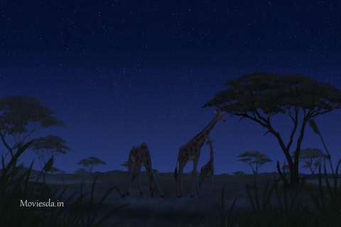 Simbas Pride (480x320).mp4