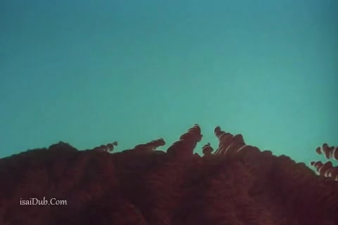 Treasure of the Lost Lamp (480x320).mp4