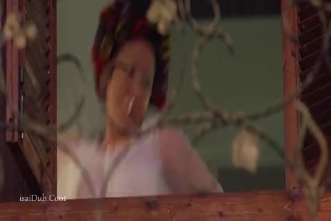 Kung Fu Hustle Sample (480x320).mp4