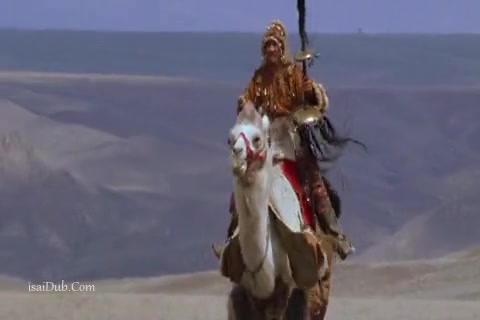 The Warrior Sample (480x320).mp4