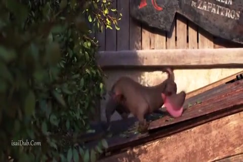 Coco HD Sample.mp4