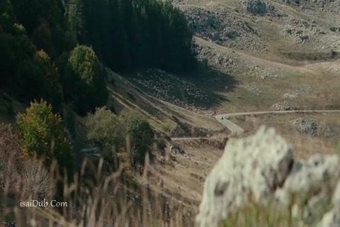 The American Sample (480x320).mp4