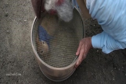 Peter Rabbit HD Sample.mp4