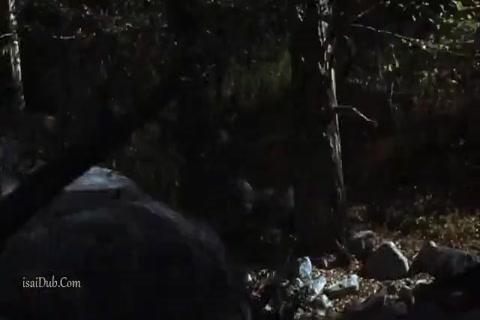 Backwoods HD.mp4