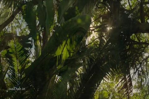 Mowgli Sample.mp4