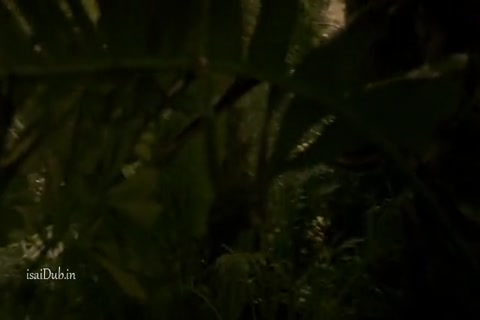 Fear The Walking Dead Season 2 (Epi 07) HD.mp4