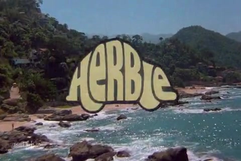 Herbie Goes Bananas.mp4