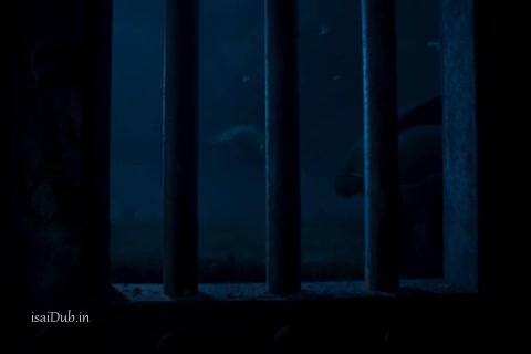 Dumbo Sample.mp4