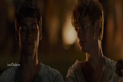 The Maze Runner 2014 HD Sample.mp4