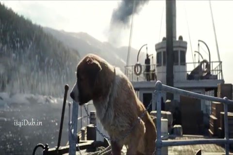 The Call of the Wild 2020 HD Sample.mp4