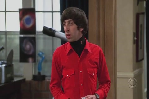 The Big Bang Theory Season 1 (Epi 01) HD Sample.mp4