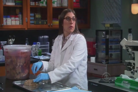 The Big Bang Theory Season 5 (Epi 08) HD Sample.mp4
