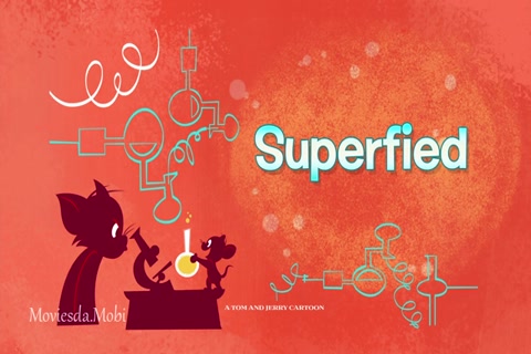 Tom and Jerry Season 01 (Epi 20 Superfied) HD.mp4