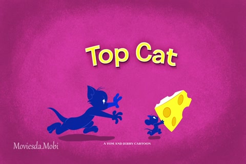 Tom and Jerry Season 01 (Epi 31 Top Cat) HD.mp4