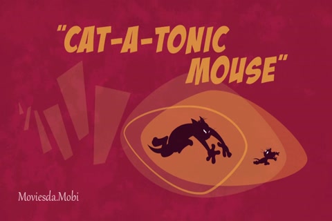 Tom and Jerry Season 02 (Epi 69 School Of Hard Knocks) HD.mp4