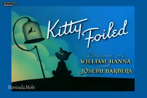 Kitty Foiled HD.mp4