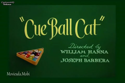 Cue Ball Cat HD.mp4