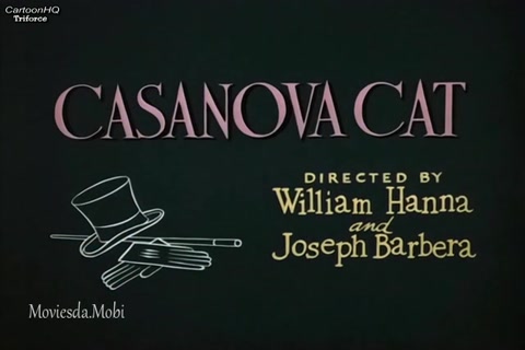 Casanova Cat HD.mp4