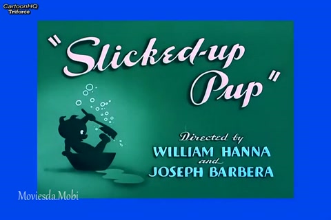 Slicked Up Pup HD.mp4