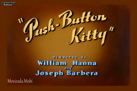 Push Button Kitty HD.mp4