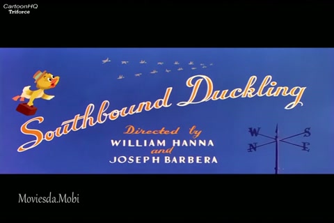 Southbound Duckling HD.mp4